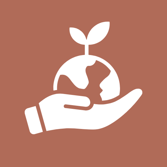 Clean, Non-Toxic Plant-Based Ingredients for Candles